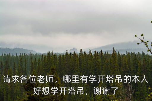 珠海哪里可以學塔吊,想學開塔吊應該去哪里學