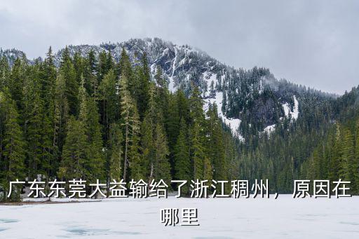 廣東東莞大益隊(duì)3號(hào)胡明軒哪里人,廣東東莞大益