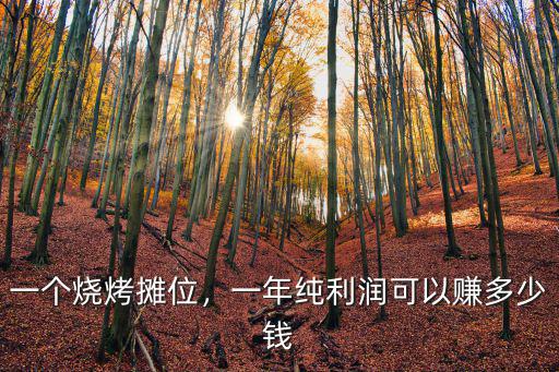 煙臺燒烤一串利潤多少,一個燒烤攤位