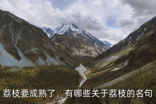 深圳荔枝熟了會怎么樣,深圳去年荔枝貴吃不起