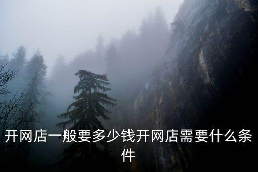 開網(wǎng)店一般要多少錢開網(wǎng)店需要什么條件