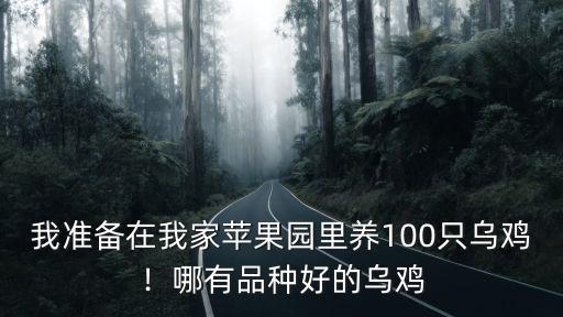 我準備在我家蘋果園里養(yǎng)100只烏雞！哪有品種好的烏雞