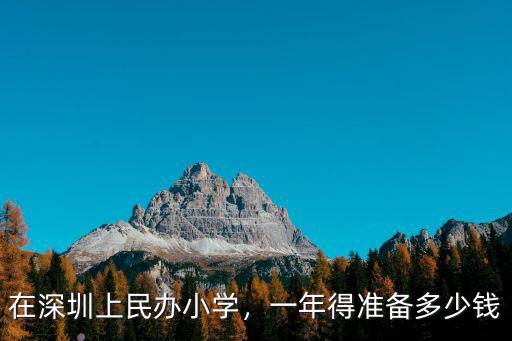 在深圳上民辦小學，一年得準備多少錢