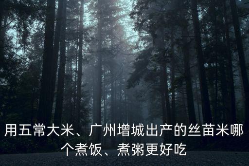 用五常大米、廣州增城出產(chǎn)的絲苗米哪個煮飯、煮粥更好吃