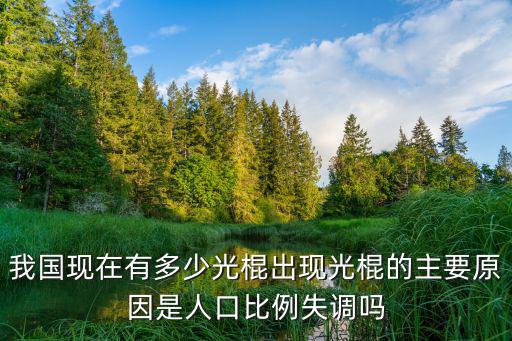 我國(guó)現(xiàn)在有多少光棍出現(xiàn)光棍的主要原因是人口比例失調(diào)嗎