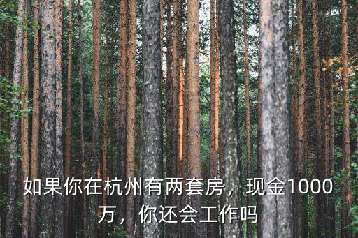 杭州總住房有多少錢,如果你在杭州有兩套房