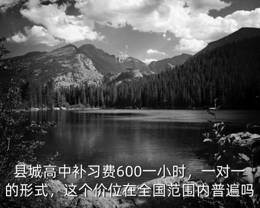 縣城高中補習費600一小時，一對一的形式，這個價位在全國范圍內普遍嗎
