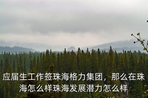 珠海經濟的發展有限公司怎么樣,珠海發展潛力怎么樣