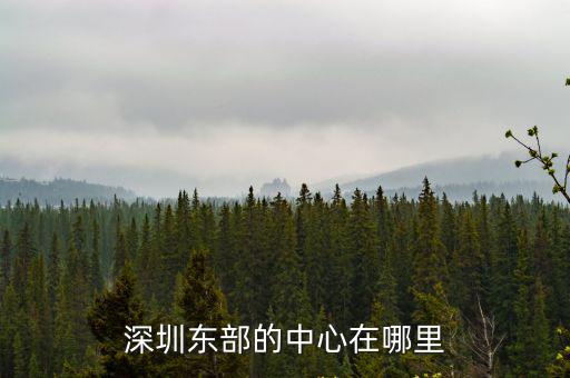 深圳市太空科普南方中心在哪里,深圳東部的中心在哪里