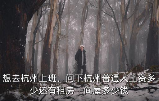 杭州西湖區(qū)二手電瓶車一般多少錢,一般二手電動車多少錢
