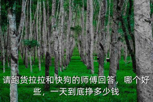 請跑貨拉拉和快狗的師傅回答，哪個好些，一天到底掙多少錢