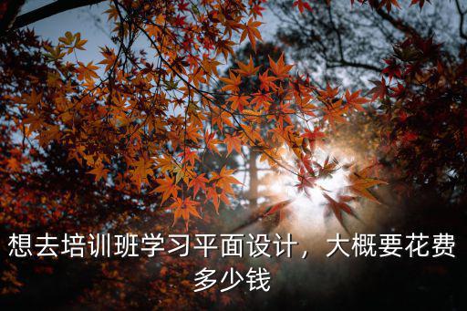 想去培訓(xùn)班學(xué)習(xí)平面設(shè)計，大概要花費多少錢