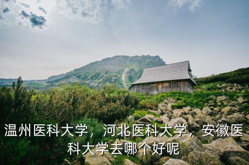 溫州醫科大學需要多少分,河北醫科大學