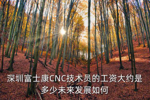深圳富士康CNC技術員的工資大約是多少未來發展如何