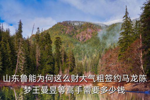 山東魯能為何這么財大氣粗簽約馬龍陳夢王曼昱等高手需要多少錢