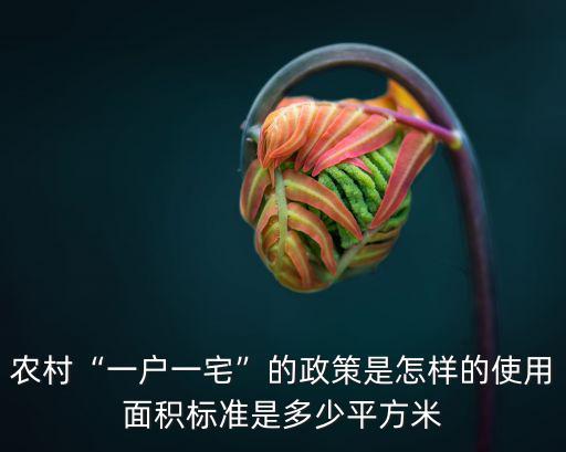 濟南商河一戶一宅政策是多少平米,農村實行一戶一宅