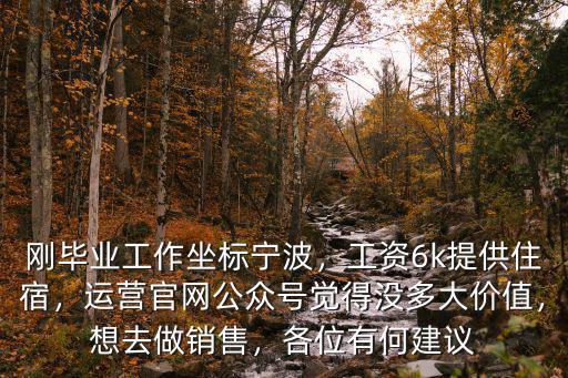 剛畢業(yè)工作坐標寧波，工資6k提供住宿，運營官網(wǎng)公眾號覺得沒多大價值，想去做銷售，各位有何建議