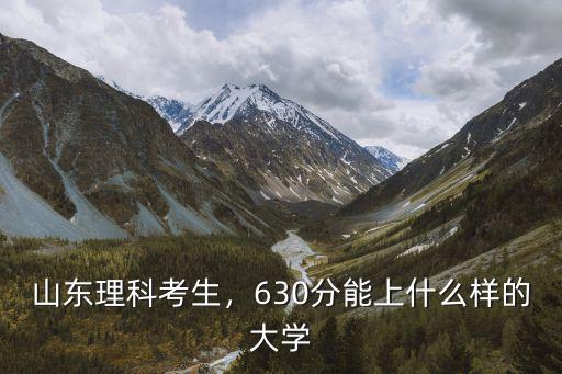 山東考生理科多少分上哈工大,山東理科考生