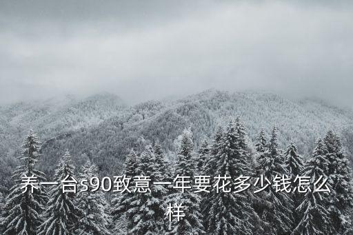 在深圳養一臺車要花多少錢,在深圳養一輛車