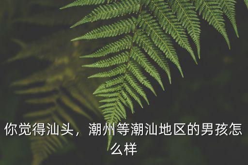 潮州饒平人民醫(yī)院怎么樣,潮州等潮汕地區(qū)的男孩怎么樣