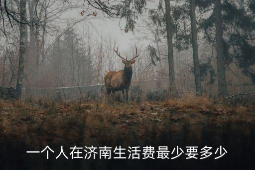 濟南淺深消費多少錢,在濟南多少錢能活的很好