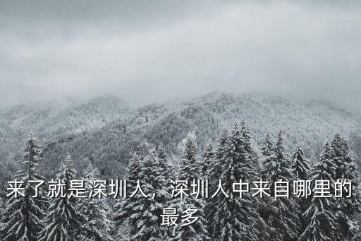 何俊峰深圳哪里人,來了就是深圳人