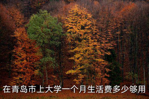 在青島市上大學(xué)一個月生活費(fèi)多少夠用