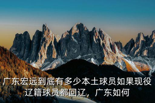 廣東宏遠到底有多少本土球員如果現役遼籍球員都回遼，廣東如何