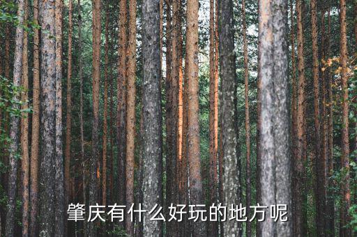 肇慶火山排骨哪里有的吃,肇慶有什么好玩的地方呢