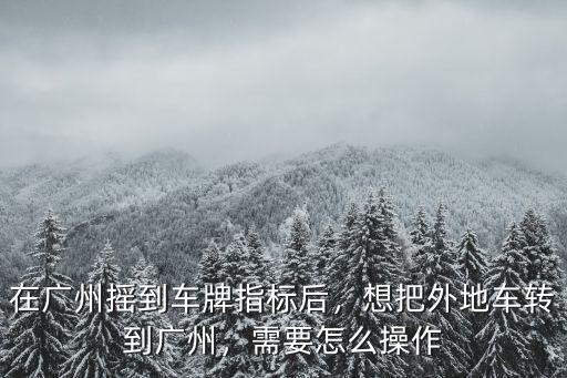 廣州車牌搖到號多少錢,在廣州搖到車牌指標(biāo)后