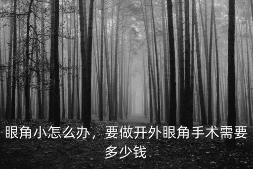濟南開眼角手術價格是多少,要做開外眼角手術需要多少錢