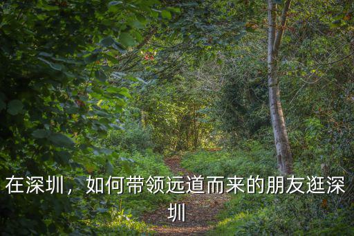 朋友從深圳來 怎么辦,朋友第一次來深圳