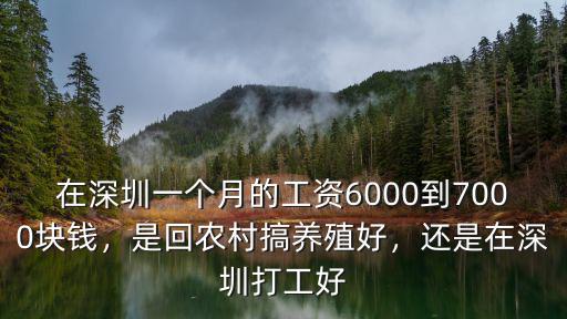 在深圳一個月的工資6000到7000塊錢，是回農村搞養殖好，還是在深圳打工好