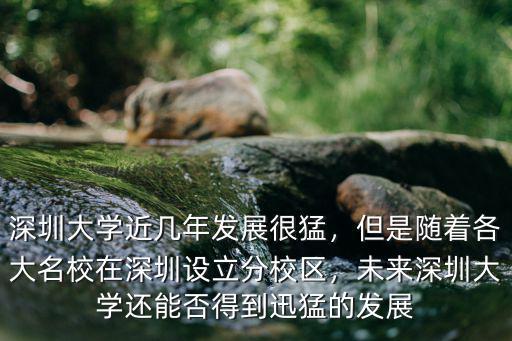 深圳政府給深圳大學(xué)投資多少錢,深圳大學(xué)前景怎么樣
