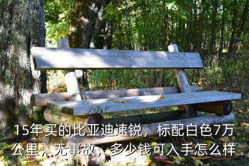 揭陽14年比亞迪速銳二手多少錢,15年買的比亞迪速銳