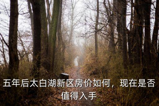 五年后太白湖新區(qū)房?jī)r(jià)如何，現(xiàn)在是否值得入手