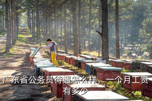 廣東省公務(wù)員待遇怎么樣，一個(gè)月工資有多少