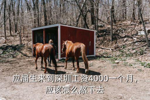 深圳男的4000工資多少,一個(gè)月4000塊的工資
