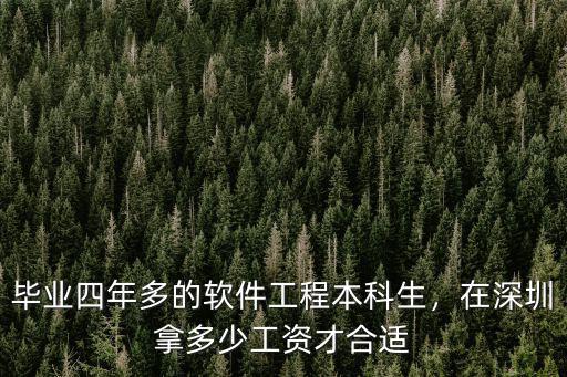 深圳的軟件工程師的工資是多少,畢業四年多的軟件工程本科生