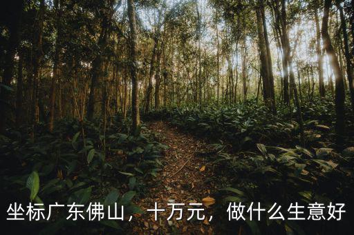 坐標廣東佛山，十萬元，做什么生意好