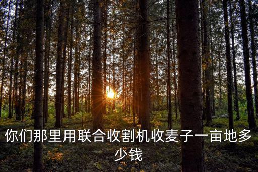 山東收花生機器一畝多少錢,收割機收一畝地需要多少錢