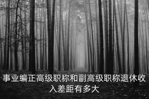 事業編正高級職稱和副高級職稱退休收入差距有多大