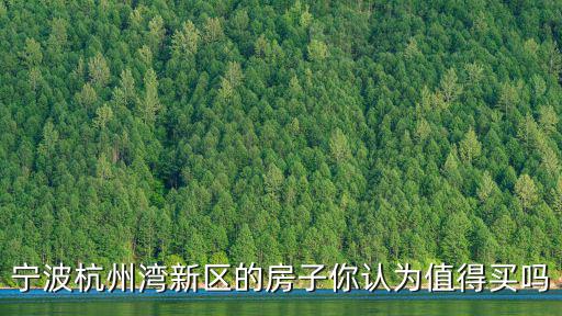 買杭州灣新區(qū)的房子能賺多少,杭州灣新區(qū)有發(fā)展前景嗎