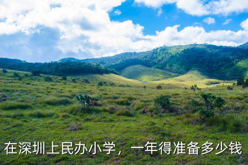 深圳小學(xué)公辦收費多少錢,在深圳上民辦小學(xué)
