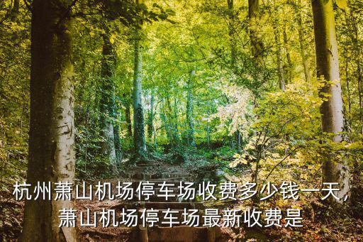 杭州蕭山機場地下停車場多少錢一天,蕭山機場停車場最新收費是