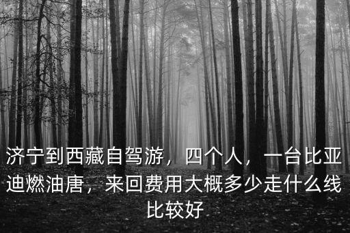 濟寧到西藏多少公里,濟寧到西藏自駕游