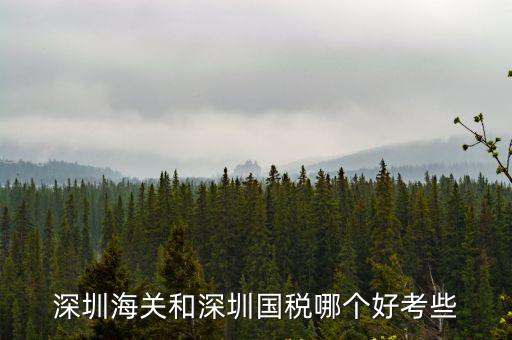 深圳國稅局待遇怎么樣,現在稅務局的待遇怎么樣