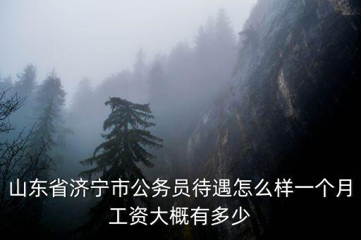 山東省濟(jì)寧市公務(wù)員待遇怎么樣一個(gè)月工資大概有多少