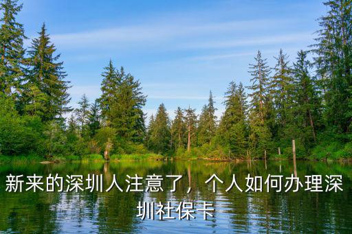 深圳新的社保卡在哪里辦,個(gè)人如何辦理深圳社保卡