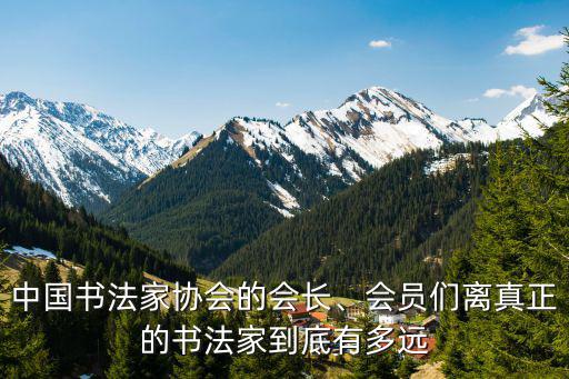 杭州有多少位中國書法家協(xié)會會員,中國書法家協(xié)會的會長